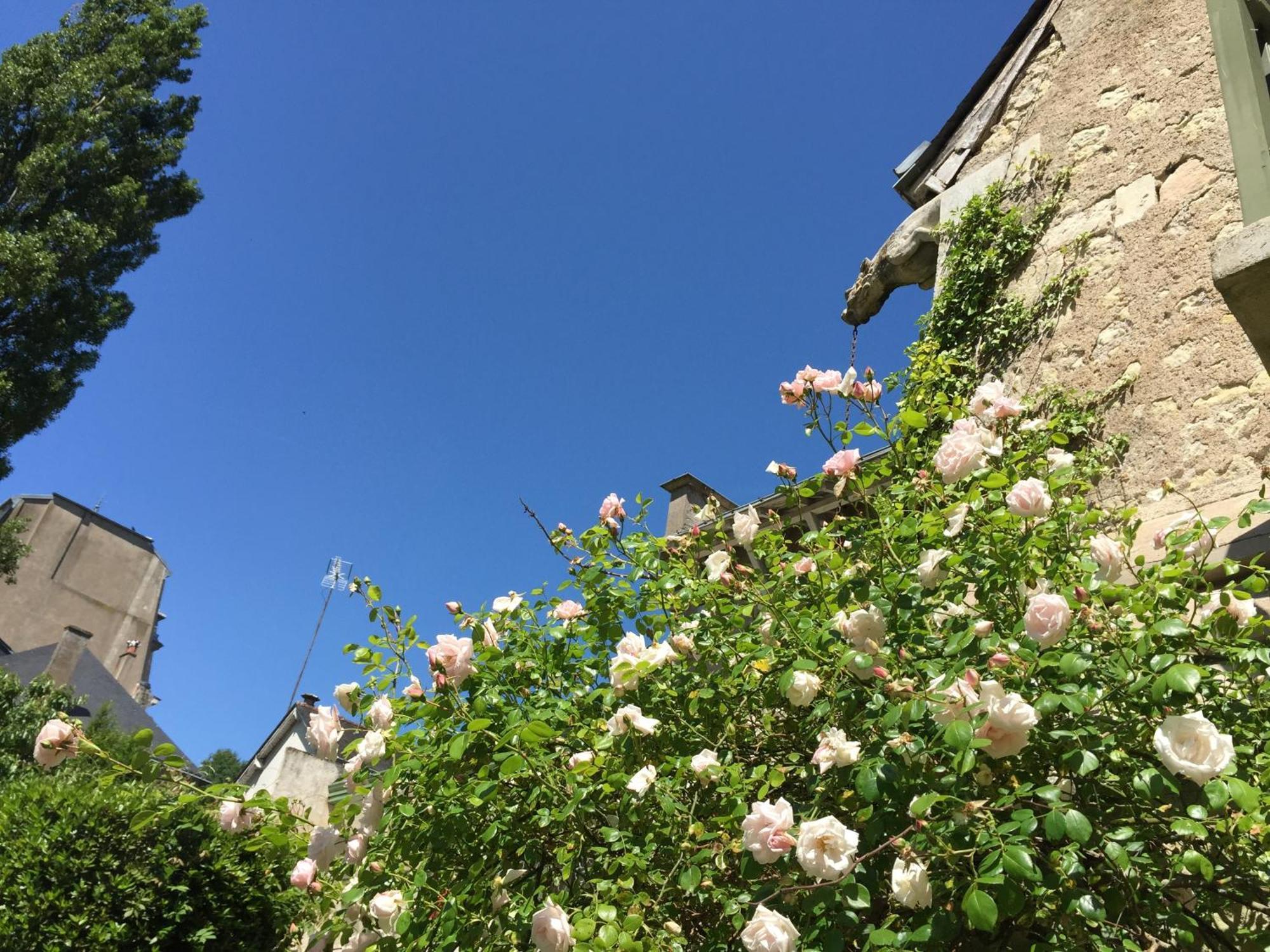 Loire Valley Medieval Getaway Rochecorbon Szoba fotó