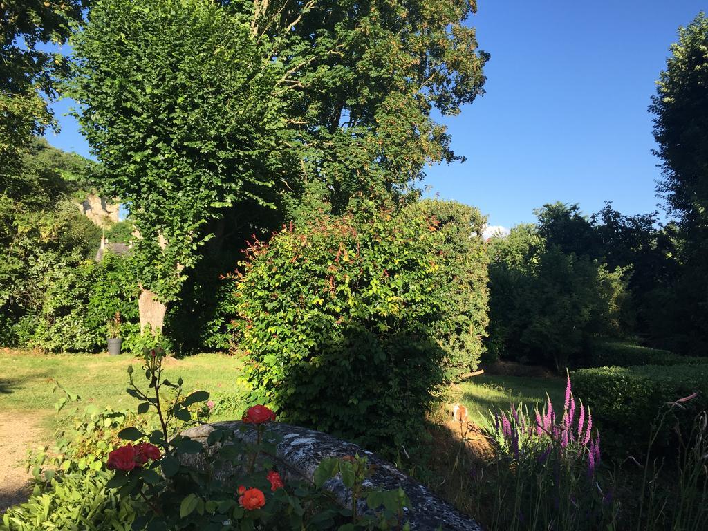 Loire Valley Medieval Getaway Rochecorbon Kültér fotó