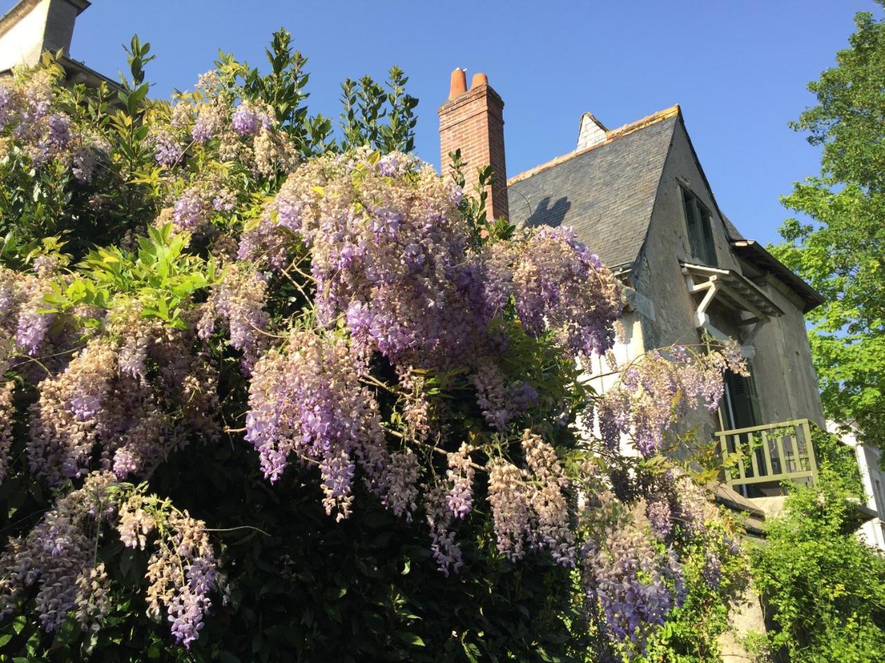 Loire Valley Medieval Getaway Rochecorbon Kültér fotó